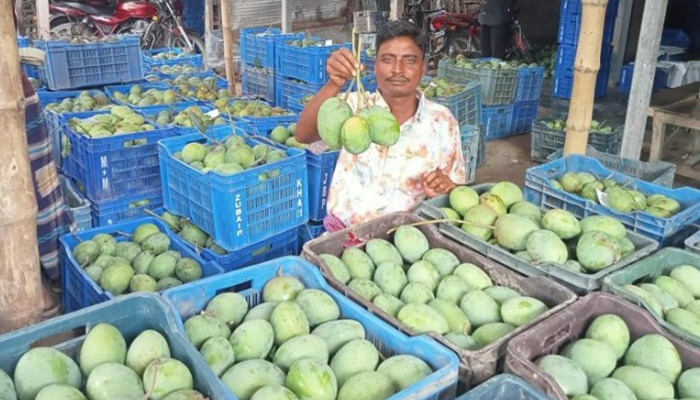 Imported from WordPress: image-5.png