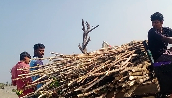 Imported from WordPress: image-4.png