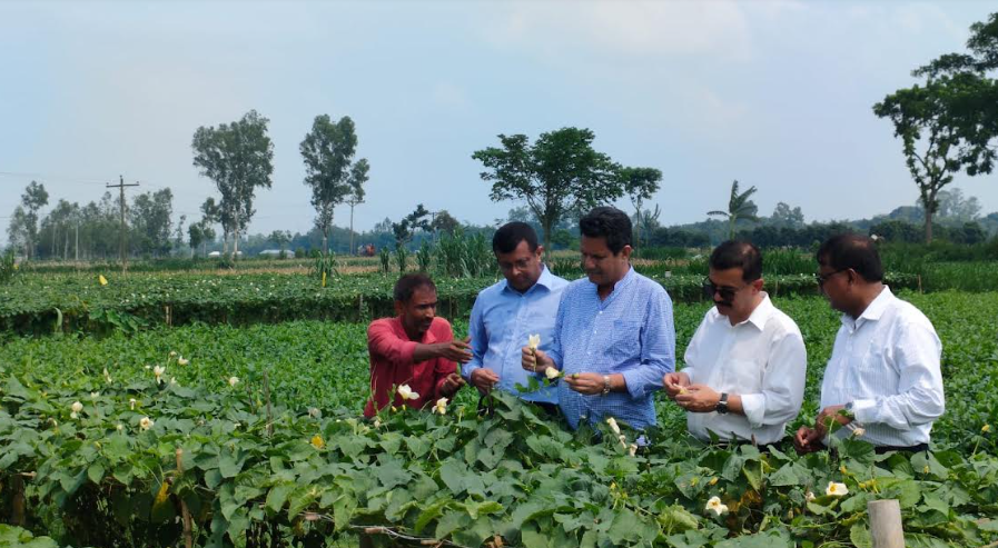 Imported from WordPress: image-47.png