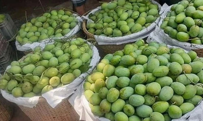 Imported from WordPress: 1715511260-c01f3ee79d831dc94d028a33d0823aaa.webp