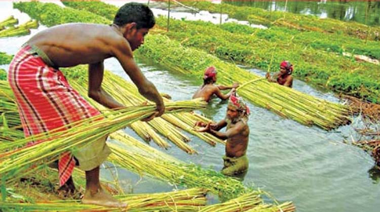 Imported from WordPress: image-252791.jpg