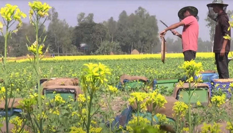 Imported from WordPress: image-40.png