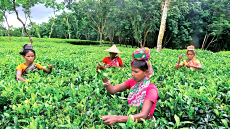 Imported from WordPress: 67803bbf49aa05d7940163900dbec212.jpeg