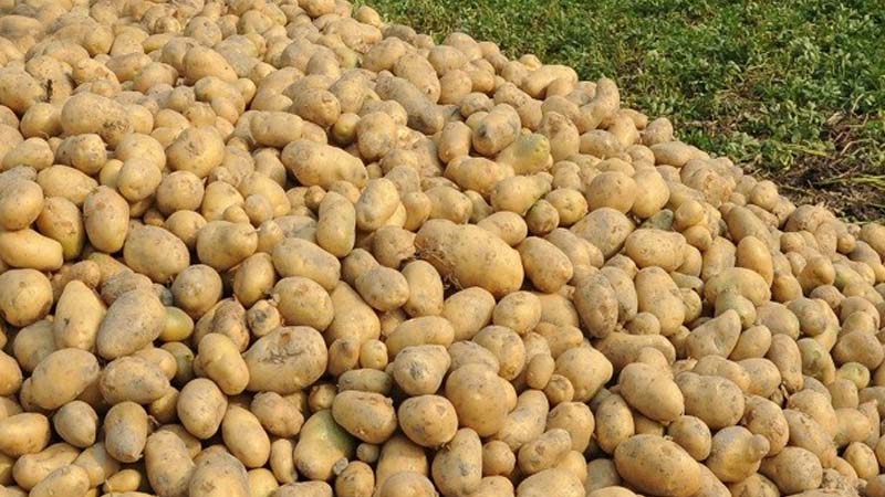 Imported from WordPress: _1695312826.jpg