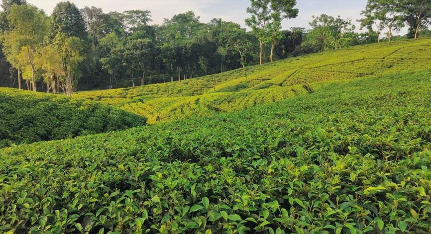 Imported from WordPress: image-22.png