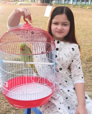 Imported from WordPress: image-8.png