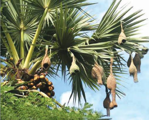 Imported from WordPress: image-30.png