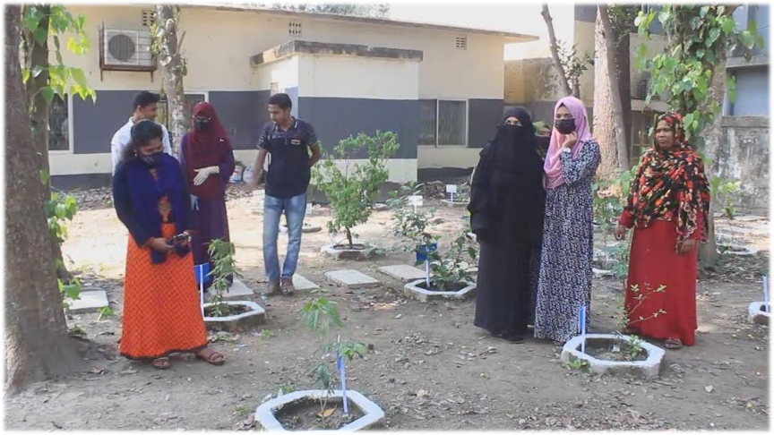 Imported from WordPress: image-20.png