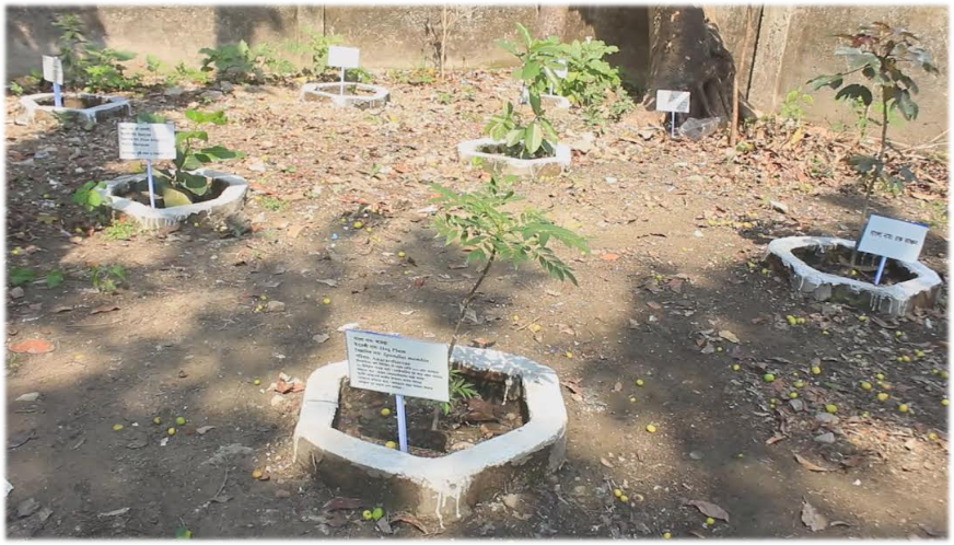 Imported from WordPress: image-21.png