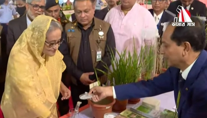 Imported from WordPress: image-140.png