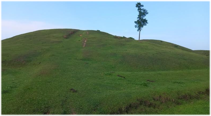 Imported from WordPress: image-74.png