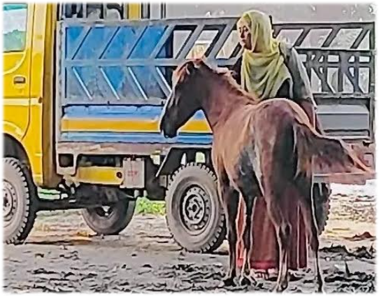 Imported from WordPress: image-73.png