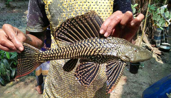 Imported from WordPress: image-245.png