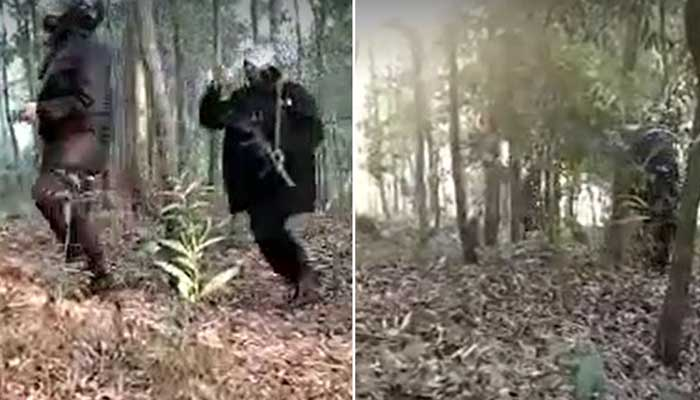 Imported from WordPress: image-203.png