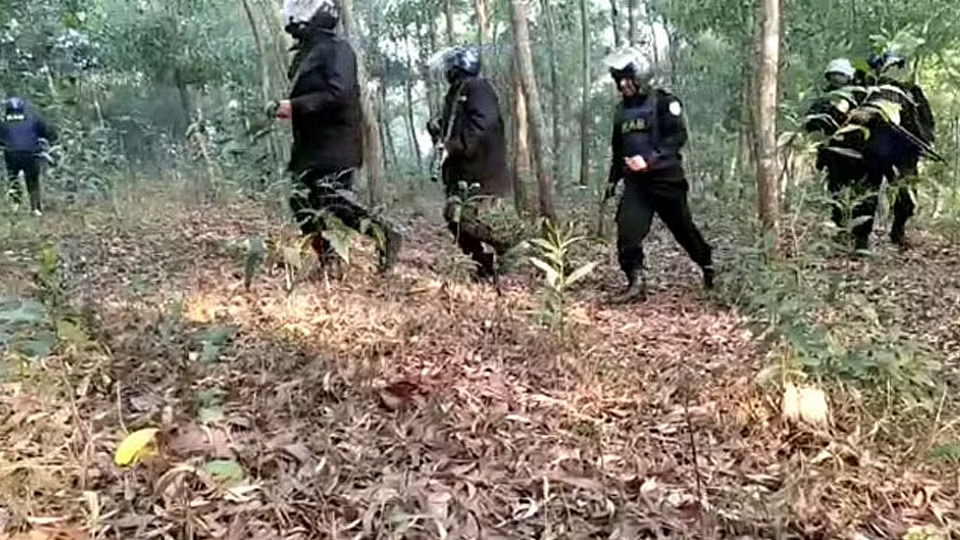 Imported from WordPress: image-202.png