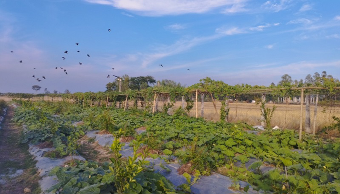 Imported from WordPress: image-54.png