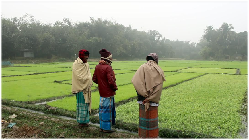 Imported from WordPress: image-45.png