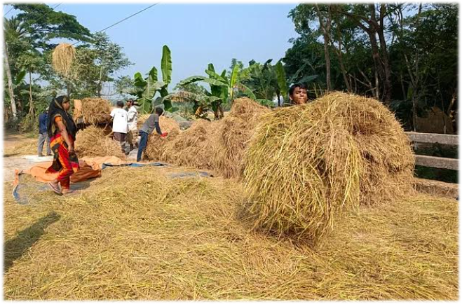 Imported from WordPress: image-73.png