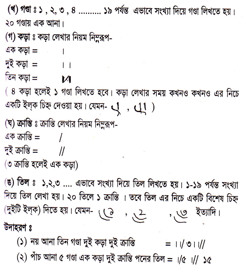 image-206