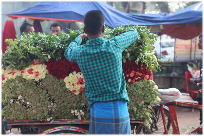 image-46