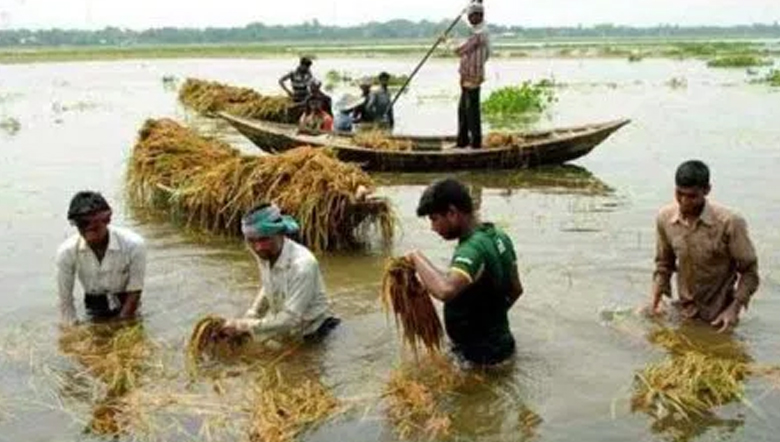 হাওরের বাঁধ নির্মাণের টাকা যাদের পকেটে তাদেরও বিচার হওয়া জরুরি